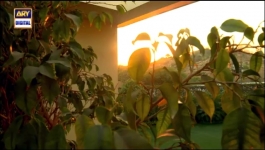 Aapa Shameem - Episode 14 - 20th December 2024